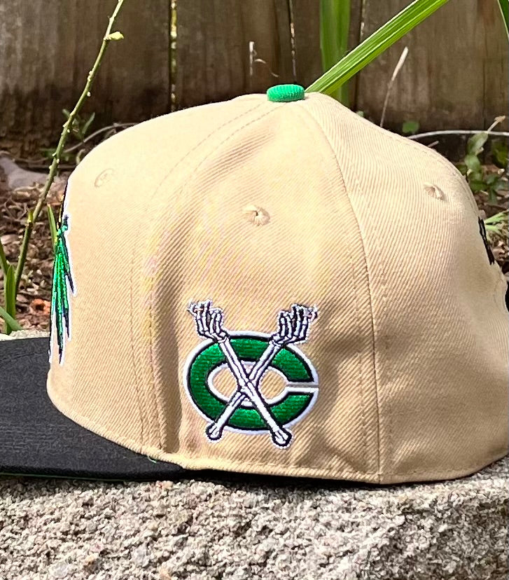 GAS HAWKS SnapBack